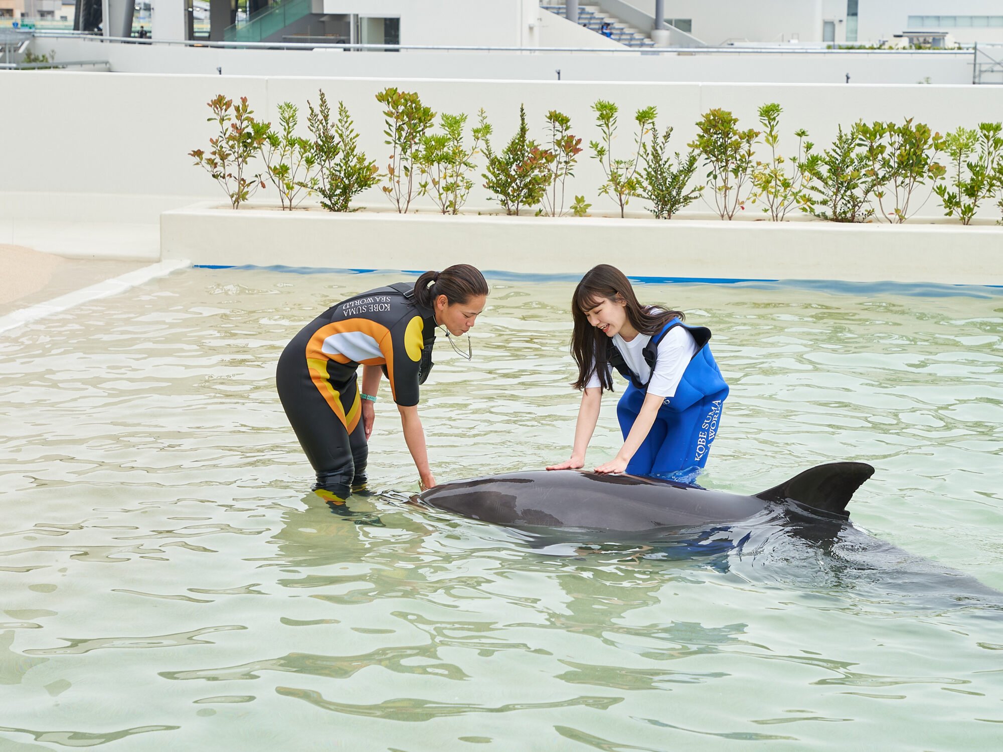 🐬 고베 스마 씨월드 (神戸須磨シーワールド) 이미지 7